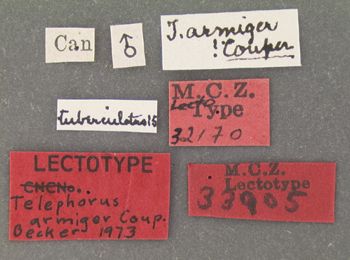 Media type: image; Entomology 33905   Aspect: labels
